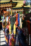    2009